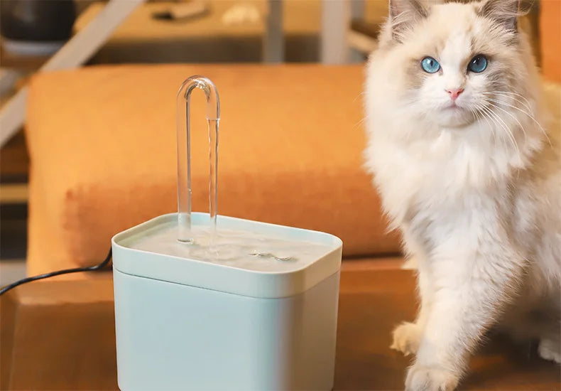 Automatic Pet Water Dispenser