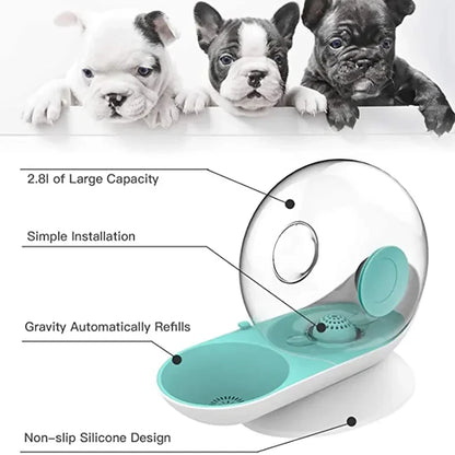 Automatic Pet Water Dispenser