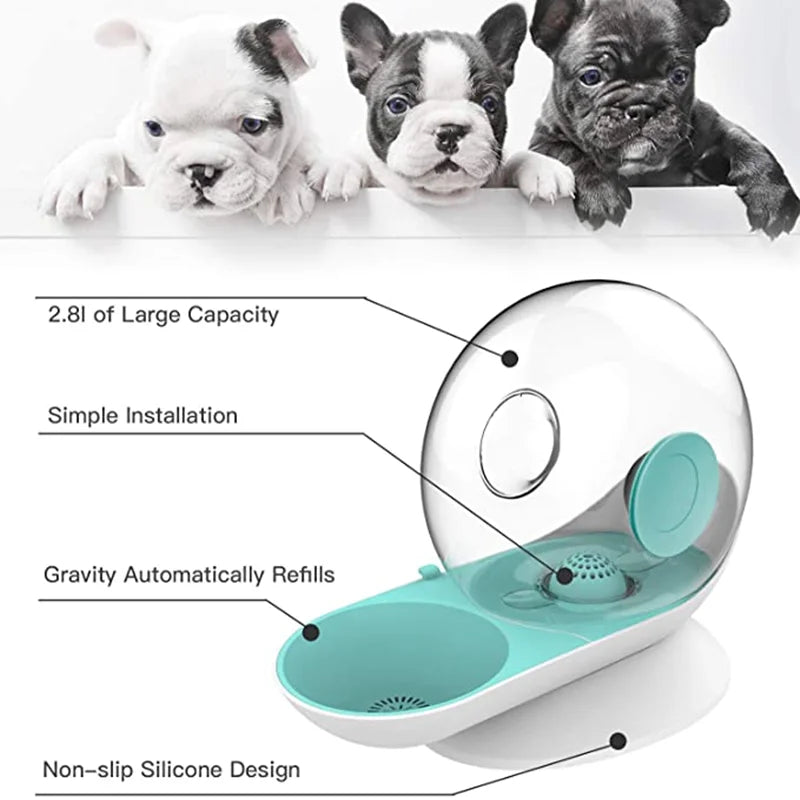 Automatic Pet Water Dispenser